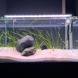 UNS P90 44 Gallon Fish Tank
