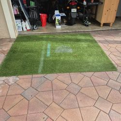 Baseball Net And Turf
