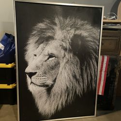 Lion framed print