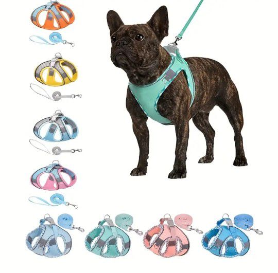 Dog Collar Leash Harness Sets, Lv Dog Leash Collar