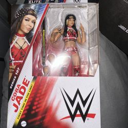 Wwe Toy