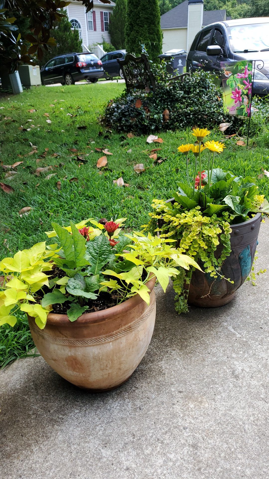 Flowering Plants with Pots
