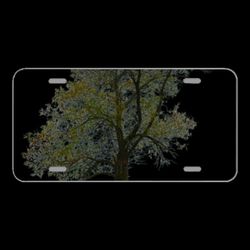 License Plate Novelty Car Front Tree With No Background