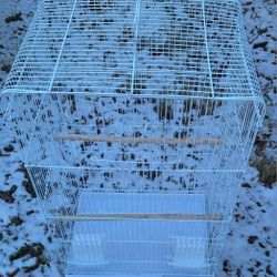 Bird Cage 