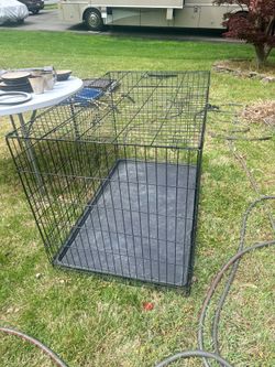 XL dog cage