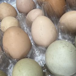 Farm Fresh Eggs- Chicken /Duck/Goose