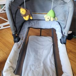 Portable Basinet 
