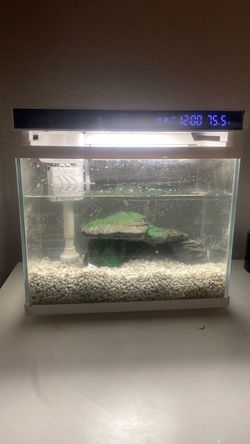 Very nice looking tank I’m selling because I’m buying a bigger one the best for fish and little turtles 50$ tank from amazon no problems works perfect