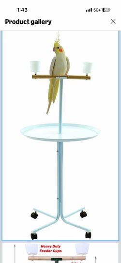 White Bird Perch Stand with Tray and Feeder Cups