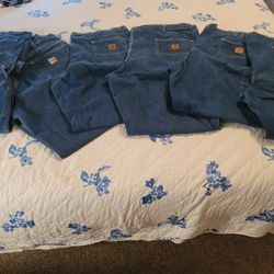 6- BRAND NEW CARHARTT MENS JEANS