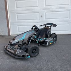 Segway Go Kart Pro 2
