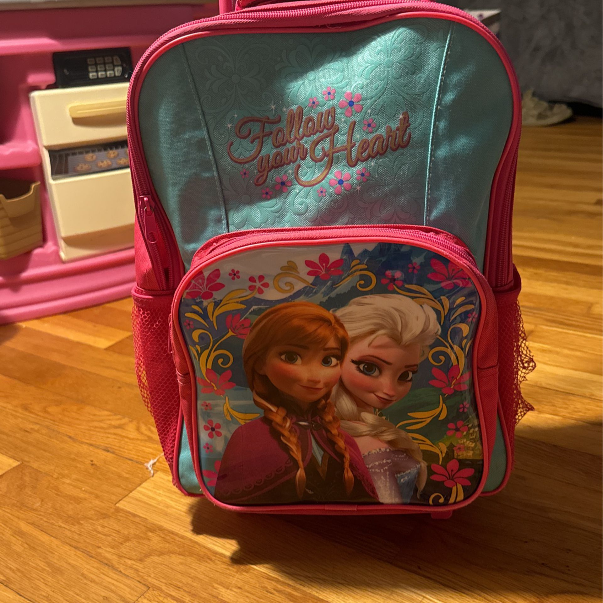 Backpack/ Luggage 