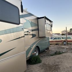 2003 Zanzibar Safari 