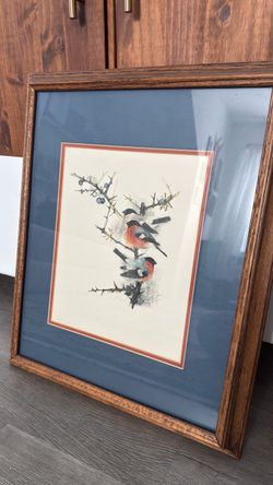 Vintage Framed Bird Print by Mads Stage