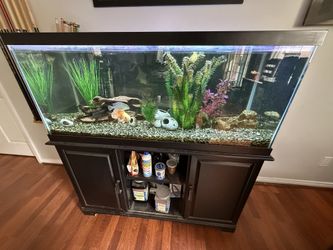 80 Gallon Fish Tank