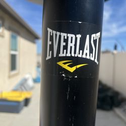 Everlast Dual 2-station Heavy Bag stand + 100lb Heavy Bag + Speed Bag