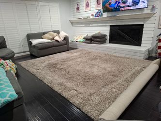 Area Rug