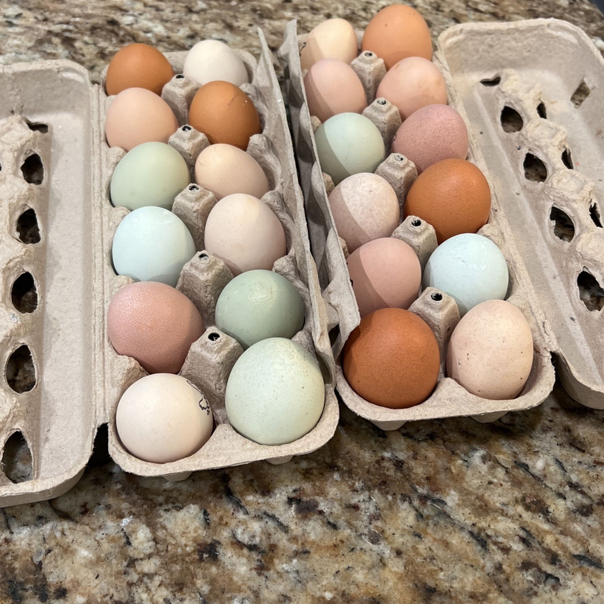 Farm Fresh Eggs