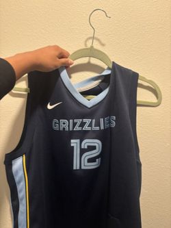 Memphis grizzlies