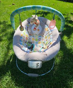 Winnie The Pooh Bouncer