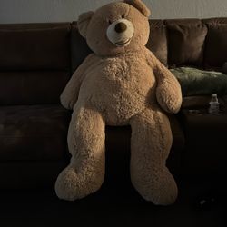 Full Size Teddy Bear