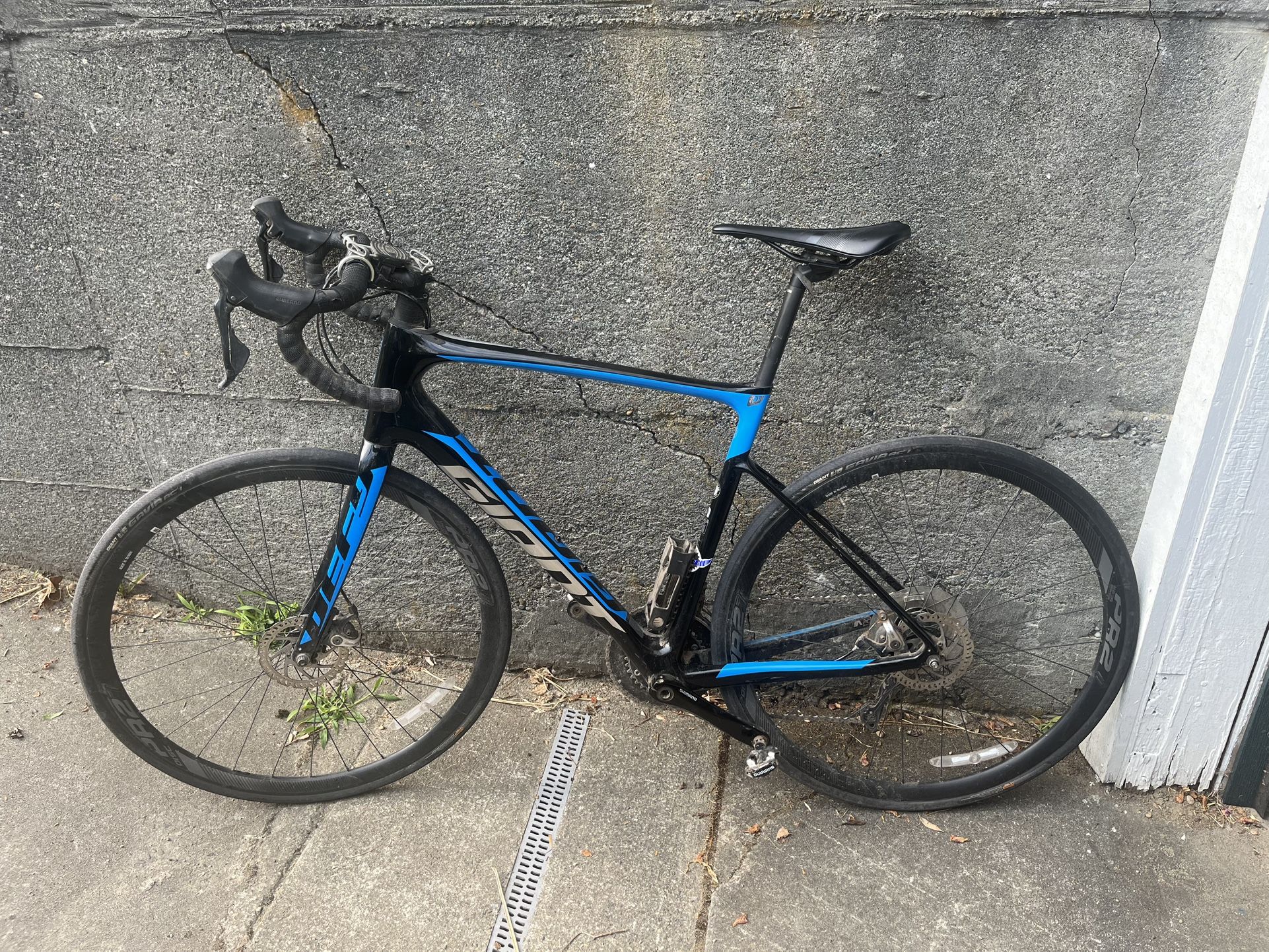 Giant 1, 2019