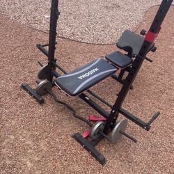 Weight Bench And Weights With Bar 