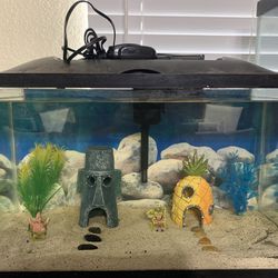 10 Gallon Fish Tank with Filter, Air Pump and Decorations 