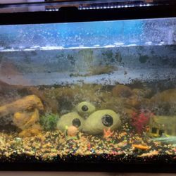 30 Gallon Fish Tank w/ Accessories