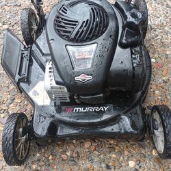 Murray 2020 20 Inch Push Mower 