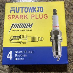 IRidium Spark Plugs (4 Pack)