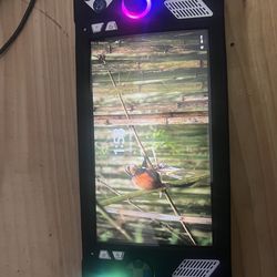 asus rog ally x z1 extreme