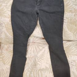 Pants Loft Size 9 
