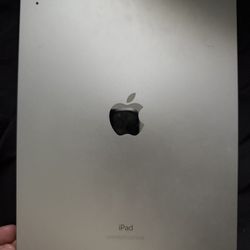 iPad 10th Generation (256 Gb)
