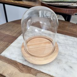 Small Bell Jar Display Case 