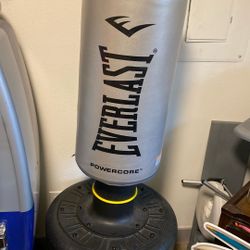 Everlast Power core Punching Bag