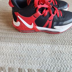 Nike LeBron Size 3.5
