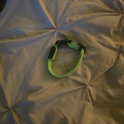 Light Up Small Dog Collar