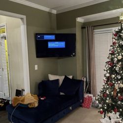 Get Ur TV Mounted Today!!!!