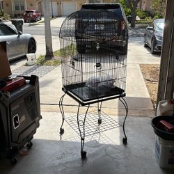 BIRDS CAGE 