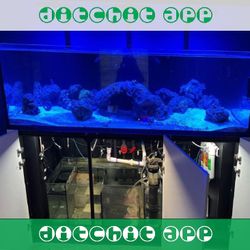 Large Aquarium Tank - Roomy & Beautiful prove necessary