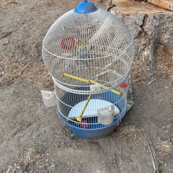 Bird Cage
