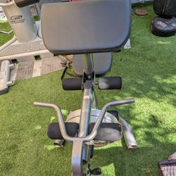 Golds gym Weight Lifting bench Press With Bicep Curl Attachment 