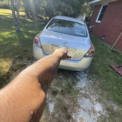 2009 Nissan Altima