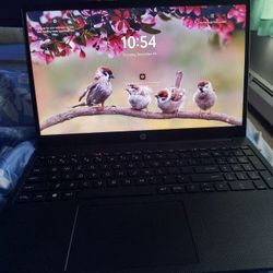 HP Laptop 15