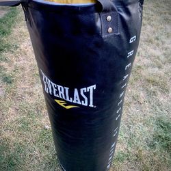 Everlast Power Core Heavy Bag 80-Pound (Includes Steel Beam Mount Bracket)