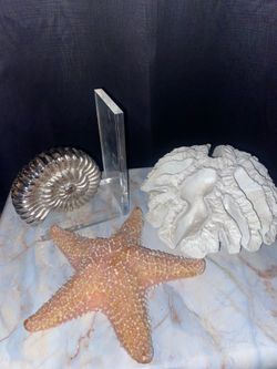 Modern Coastal Decor Set – Silver Nautilus, White Coral, Starfish Candle (Bundle or Separate)