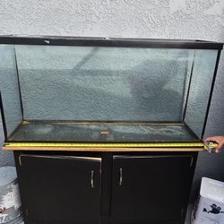 60 Gallon Aquarium With Tank Stand
