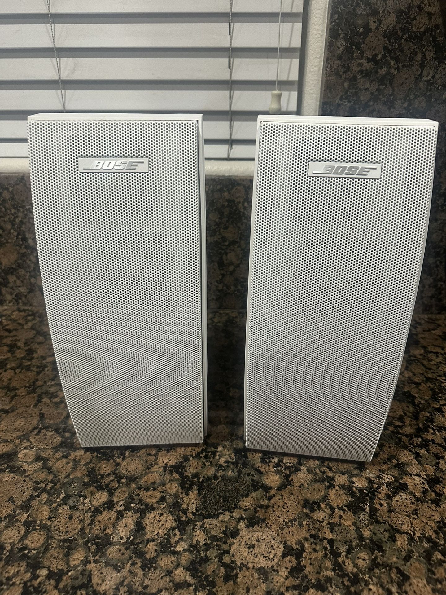 Bose 251 Environmental Weatherproof Outdoor Speaker