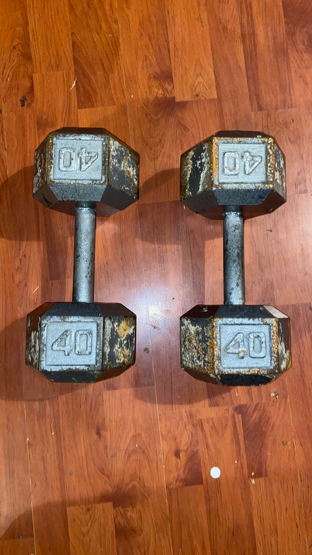 40 Lbs Dumbbells
